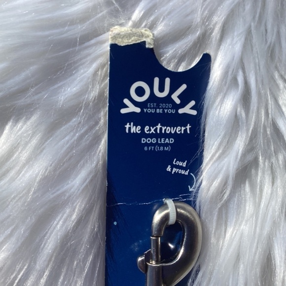 NWT Youly Vegan Leather Set Rainbow Braided Tan Collar and Leash - Picture 2 of 12